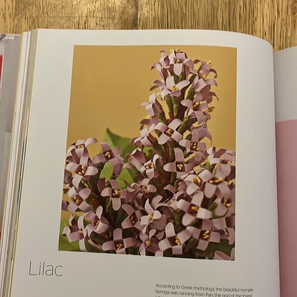 The Art of Paper Flowers By Bobby Pearce - Picture 11 of 12